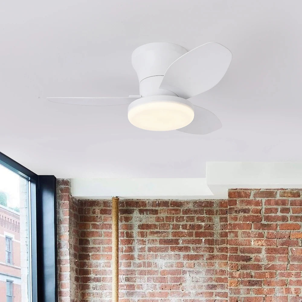 25-Inch Ceiling Fan with LED Light